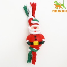 Игрушка для собак Пижон