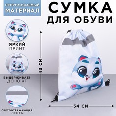 Сумка для обуви со светоотражающим элементом Art Fox