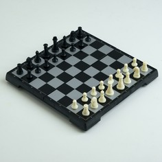 Шахматы магнитные, 19.5 х 19.5 см, черно-белые NO Brand