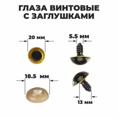 Глаза винтовые с заглушками, Школа талантов