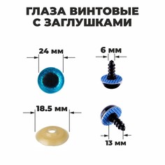 Глаза винтовые с заглушками, Школа талантов