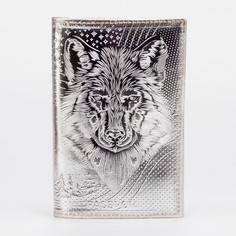 Обложка для паспорта, цвет серебряный NO Brand