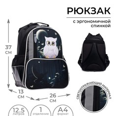 Рюкзак школьный, 37 х 26 х 13 см, эргономичная спинка, calligrata орт