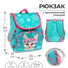 Ранец школьный стандарт, 34 х 25 х 13 см, calligrata м