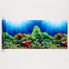 Фон для аквариума, 30 см, рулон 25 м NO Brand