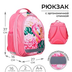 Рюкзак школьный, 37 х 27 х 16 см, эргономичная спинка, calligrata б