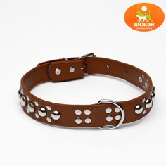Ошейник Пижон
