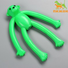 Игрушка для собак Пижон