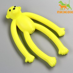 Игрушка для собак Пижон