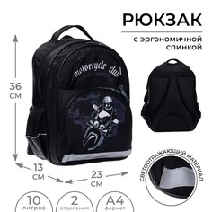 Рюкзак школьный, 36 х 23 х 13 см, эргономичная спинка, calligrata п