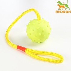 Игрушка мяч на веревке, 6 см, салатовая Пижон