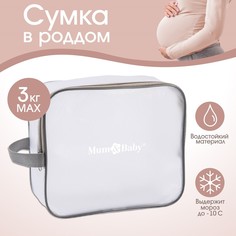 Косметичка для роддома 20х25х10 пвх Mum&Baby
