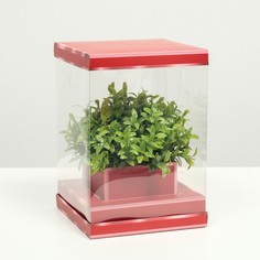 Коробка для цветов с вазой и pvc окнами складная, красный, 16 х 23 х 16 см NO Brand