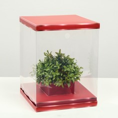 Коробка для цветов с вазой и pvc окнами складная, красный, 23 х 30 х 23 см NO Brand