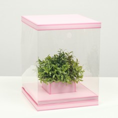Коробка для цветов с вазой и pvc окнами складная, розовый, 23 х 30 х 23 см NO Brand