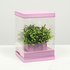 Коробка для цветов с вазой и pvc окнами складная, сиреневый, 16 х 23 х 16 см NO Brand