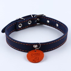 Ошейник кожаный с кожаным подвесом синий, ош 30-53см Пушистое счастье