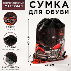 Сумка для обуви Art Fox Study