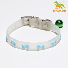 Ошейник Пижон