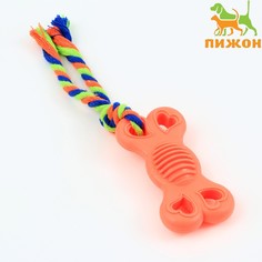 Игрушка жевательная с канатом Пижон