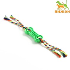 Игрушка жевательная Пижон