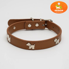 Ошейник Пижон