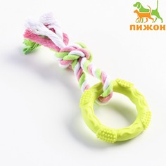 Игрушка жевательная с канатом Пижон