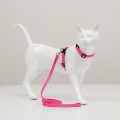 Комплект для кошек, ширина 1 см, ош 16,5-27 см, ог 21-35 см, поводок 120 см, розовый Пижон