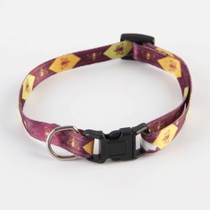 Ошейник для собак и кошек с фастексом Пушистое счастье