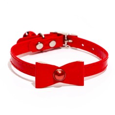 Ошейник Пижон