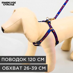 Комплект super dog, шлейка 26-39 см, поводок 120х1 см Пушистое счастье