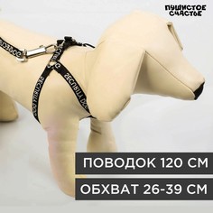 Комплект security dog, шлейка 26-39 см, поводок 120х1 см Пушистое счастье