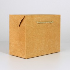 Пакет—коробка Дарите Счастье