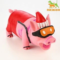 Игрушка хрюкающая для собак из латекса Пижон