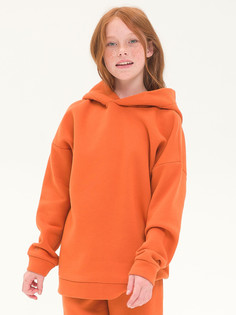 Толстовка Pelican