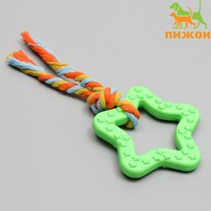 Игрушка жевательная с канатом Пижон