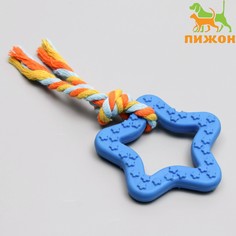 Игрушка жевательная с канатом Пижон