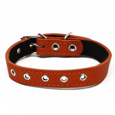 Ошейник кожаный на синтепоне, безразмерный, 54 х 2,5 см, ош 19-47 см, оранжевый Пижон