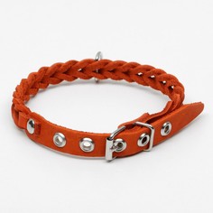 Ошейник кожаный плетеный, 1,2 х 36 см, ош 20-30 см, рыжий Пижон