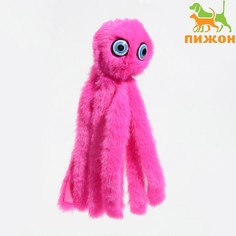 Игрушка для кошек Пижон