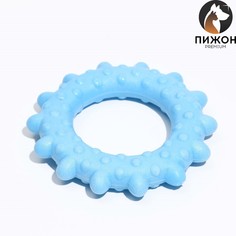 Игрушка плавающая для собак Пижон
