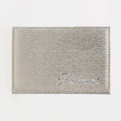 Обложка для паспорта, цвет серебряный NO Brand