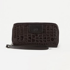 Кошелек женский, 2 отдела на молнии, с ручкой, цвет коричневый Textura