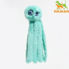 Игрушка для кошек Пижон