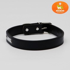 Ошейник из искусственной кожи с шильдом под гравировку, 2,5 х 52 см, ош 35-45 см, черный Пижон