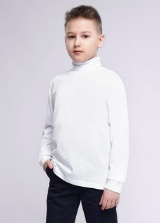 Водолазка Clever