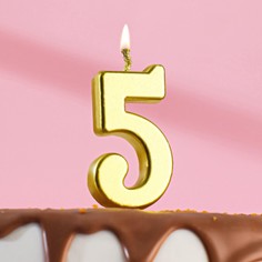 Свеча в торт на шпажке, цифра 5, золотой, 4.5х2.5 см Страна Карнавалия
