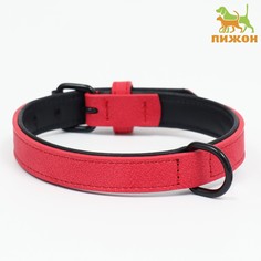 Ошейник с выносным кольцом Пижон