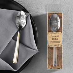 Ложка с гравировкой чайная в подарочной коробке Семейные традиции