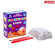 Набор для раскопок Школа талантов